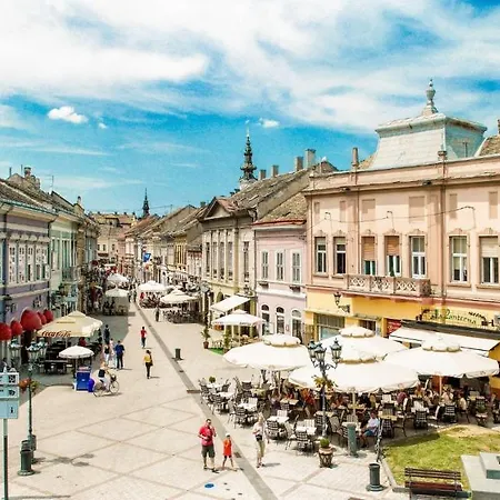 شقة Deluxe Dunavska 4